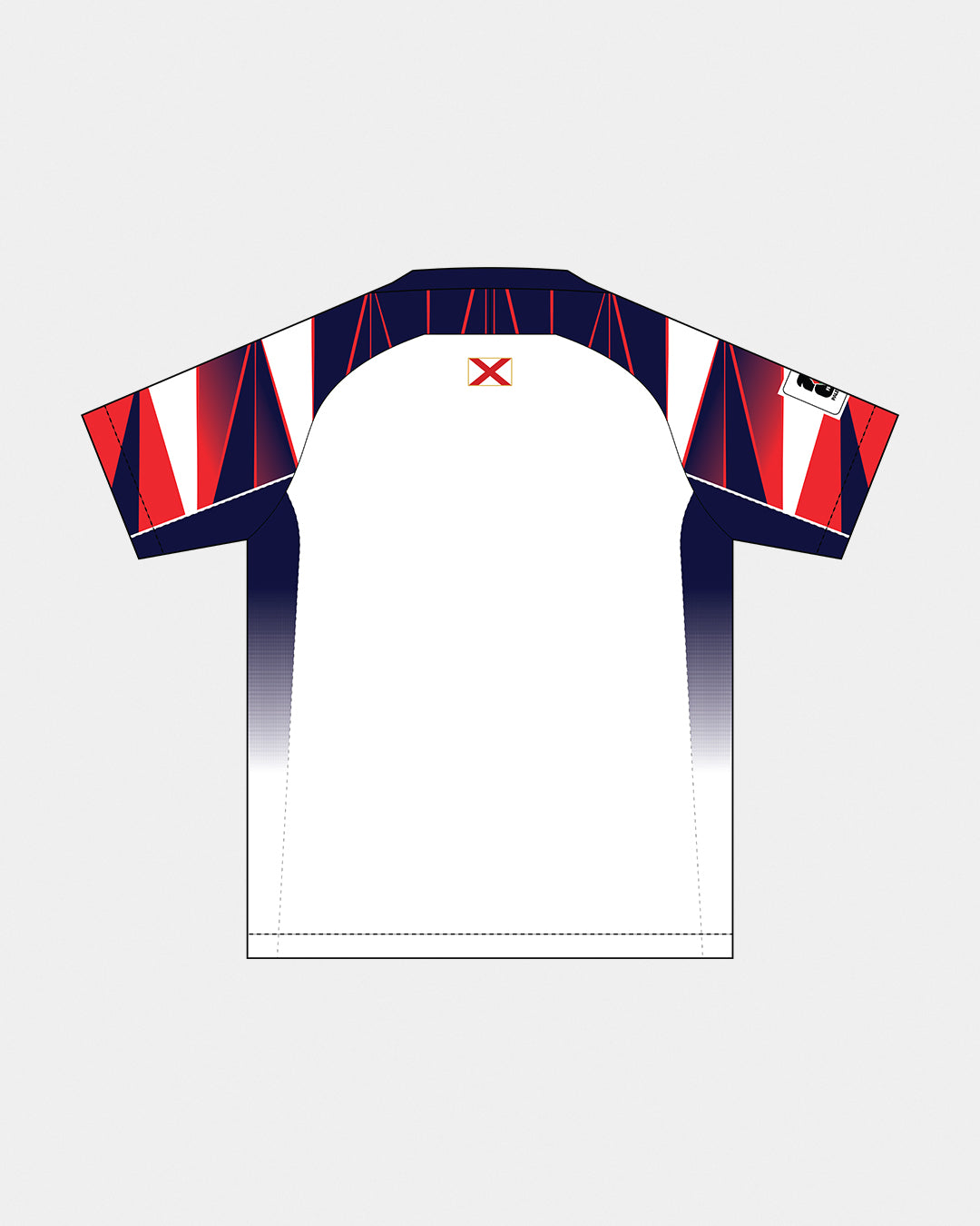 Lions Jersey