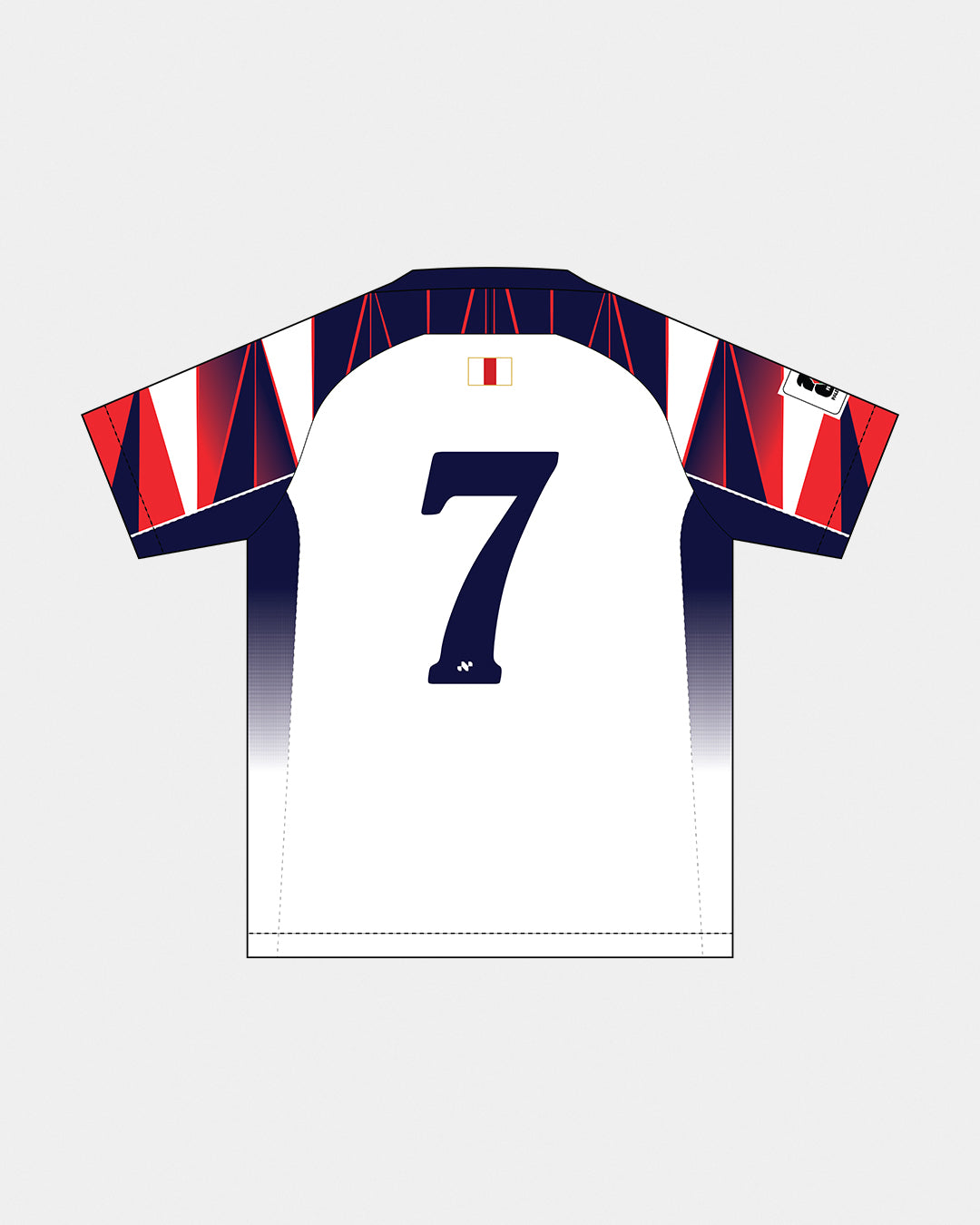 Lions Jersey